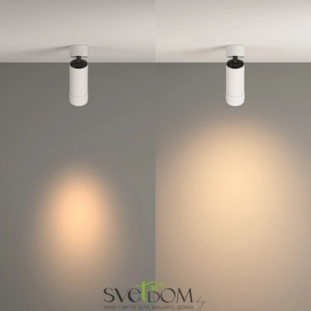 Потолочные светильники Maytoni C055CL-L12W3K-Z-W от Магазина Svetdom.by