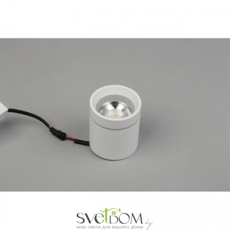 Накладные светильники Aployt APL.0043.09.05 от Магазина Svetdom.by