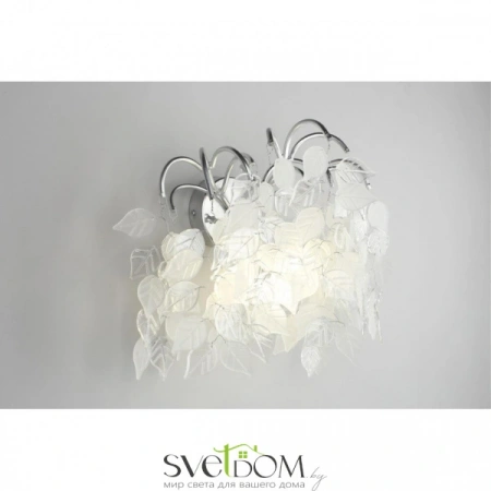 Настенные светильники APL.849.11.03 Aployt | Svetdom.by