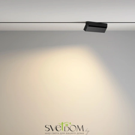 Трековый светильник TR077-2-20W3K-B Maytoni