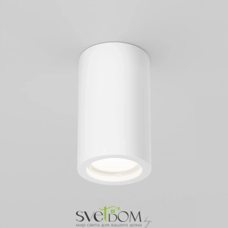 Потолочные светильники Maytoni C003CW-01W-1 от Магазина Svetdom.by