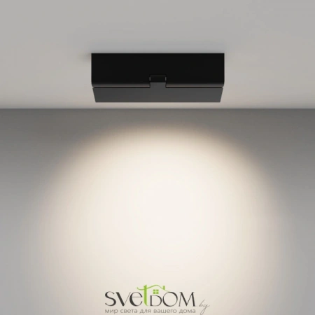 Потолочные светильники Maytoni C136CL-12W4K-B от Магазина Svetdom.by