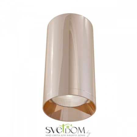 Светильники Maytoni C010CL-01RG от Магазина Svetdom.by