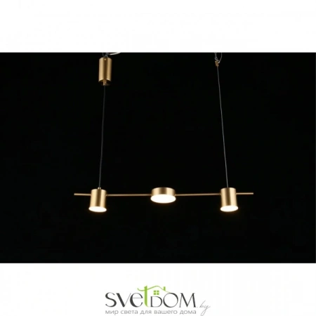 Люстры подвесныеAPL.017.13.18 Aployt | Svetdom.by