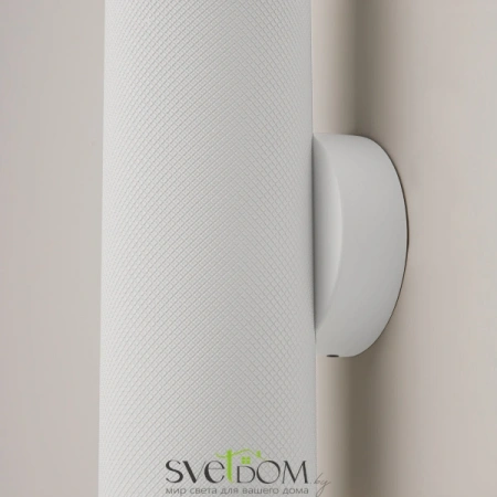 Настенные светильники C080WL-02-GU10-W Maytoni | Svetdom.by