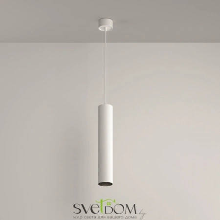 Подвесные светильники Maytoni P082PL-GU10-W от Магазина Svetdom.by