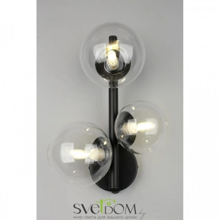 Бра APL.334.01.03 Aployt | Svetdom.by