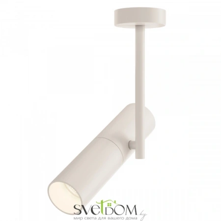 Потолочные светильники Maytoni C020CL-01W от Магазина Svetdom.by