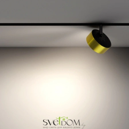 TR040-2-18W4K-BBS Maytoni