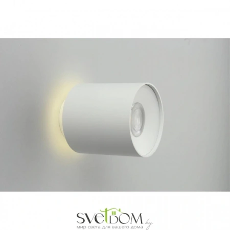 Накладные светильники Omnilux OML-100309-16 от Магазина Svetdom.by