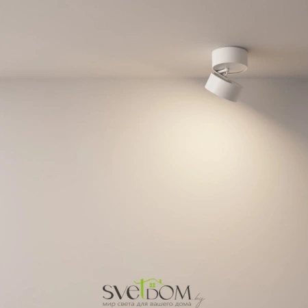 Потолочные светильники Maytoni C024CL-L12W4K от Магазина Svetdom.by