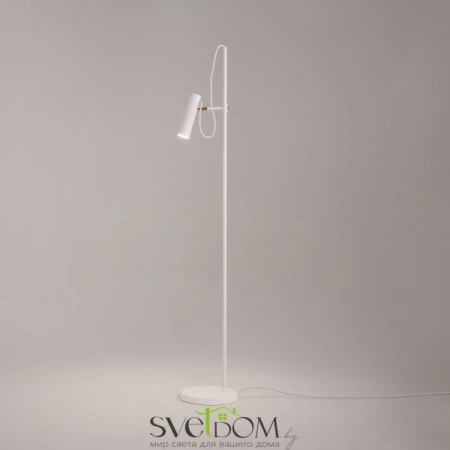 MOD129FL-01W Maytoni