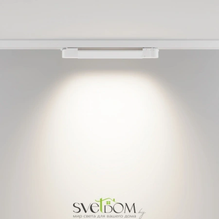 TR196-3-10W4K-W Maytoni