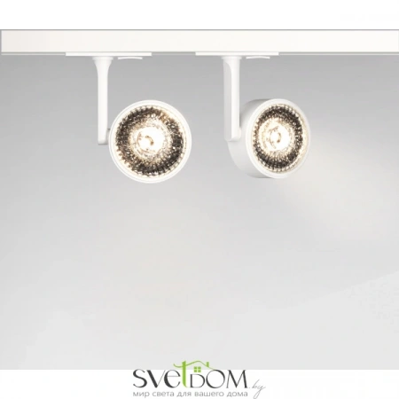 TR024-1-10W3K Maytoni