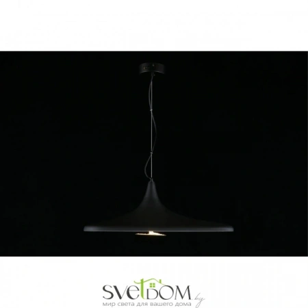 Подвесные светильники Aployt APL.649.06.08 от Магазина Svetdom.by