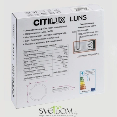 Citilux LUNS CL711021V LED Светильник влагозащищённый Чёрный CITILUX