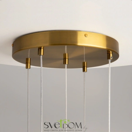 Подвесные светильники Maytoni MOD254PL-05BS от Магазина Svetdom.by