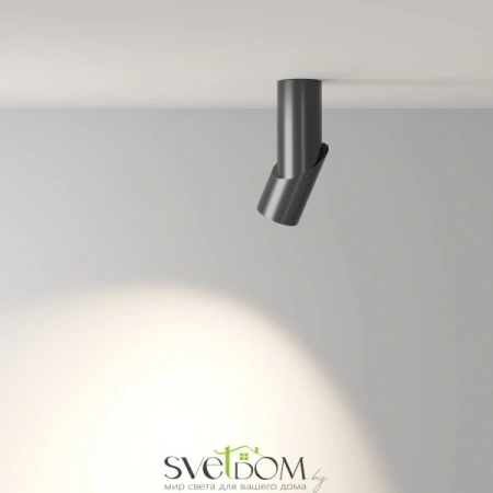 Потолочные светильники Maytoni C027CL-L10B4K от Магазина Svetdom.by