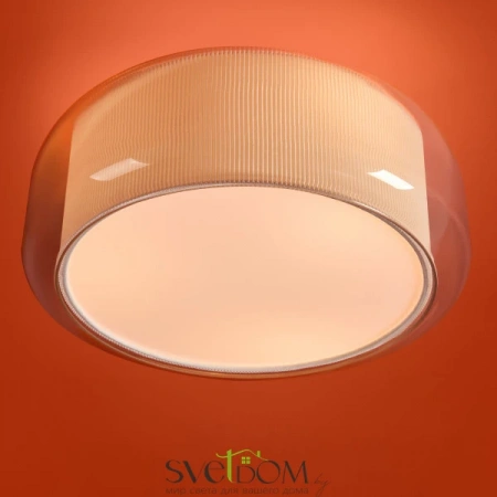 Потолочные светильники Freya FR2055CL-03CH от Магазина Svetdom.by