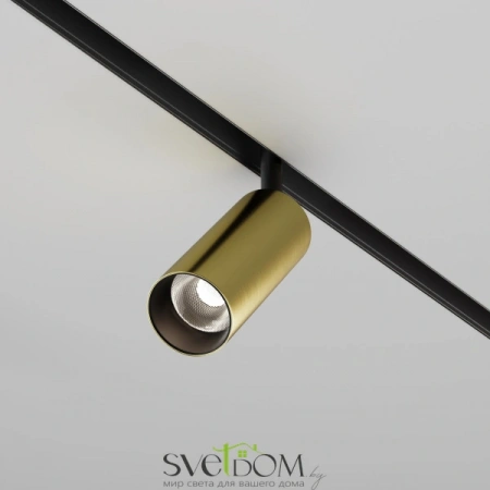 TR032-2-12W4K-M-BBS Maytoni