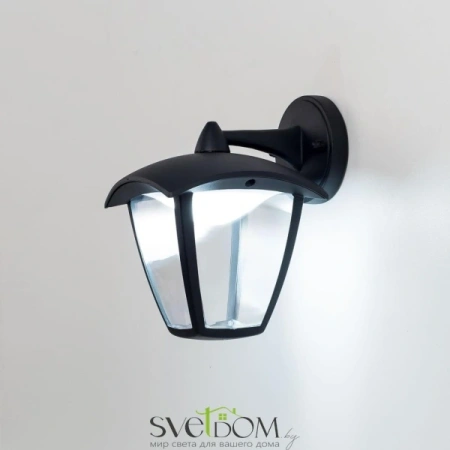 Citilux CLU04W2 LED Уличный настенный светильник Чёрный CITILUX