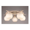 Люстра потолочная Omnilux  OML-50517-05 Omnilux