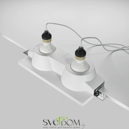 Встраиваемые светильники Maytoni DL002-DW-02-W от Магазина Svetdom.by