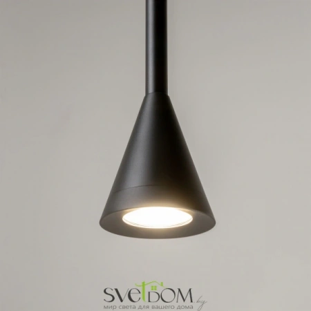 Подвесные светильники Maytoni P064PL-01B-1 от Магазина Svetdom.by