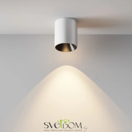 Потолочные светильники Maytoni C064CL-12W3K-RD-WB от Магазина Svetdom.by