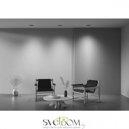 Встраиваемые светильники Maytoni DL045-02-10W3K-B от Магазина Svetdom.by