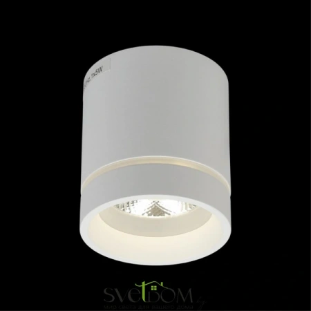 Накладные светильники Aployt APL.0044.09.05 от Магазина Svetdom.by