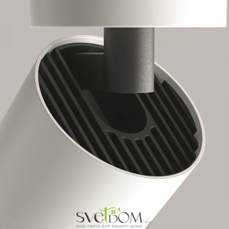 Потолочные светильники Maytoni C055CL-L12W4K-Z-W от Магазина Svetdom.by