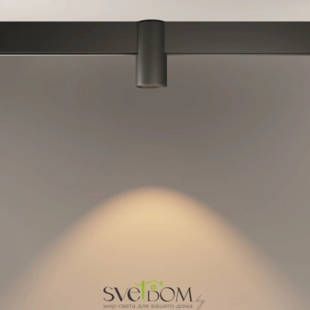 TR122-2-7W3K-B Maytoni