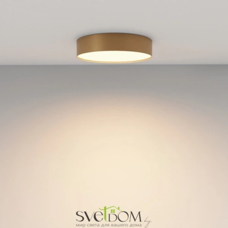 Потолочные светильники Maytoni C032CL-36W3K-RD-MG от Магазина Svetdom.by