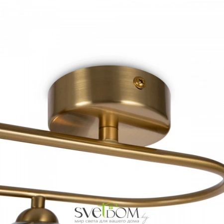 Настенные светильники FR5233WL-04BS1 Freya | Svetdom.by