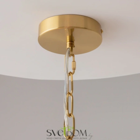 Подвесные светильники Maytoni MOD394PL-01BS от Магазина Svetdom.by