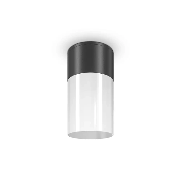 Потолочный светильник Outdoor O418CL-01B Maytoni