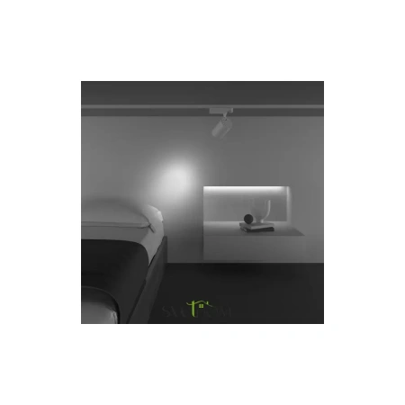 Трековый светильник TR029-3-20W3K-S-W Maytoni