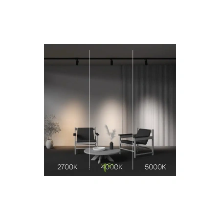 Трековый светильник Technical TR197-3-20WCCT-M-B Maytoni