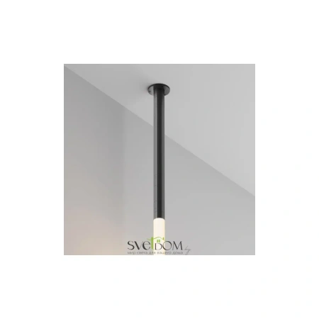 CA011-L300-100W-B 
