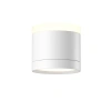 Потолочный светильник Technical C120CL-GX53-W Maytoni
