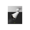 Светильники Maytoni C061CL-01W от Магазина Svetdom.by