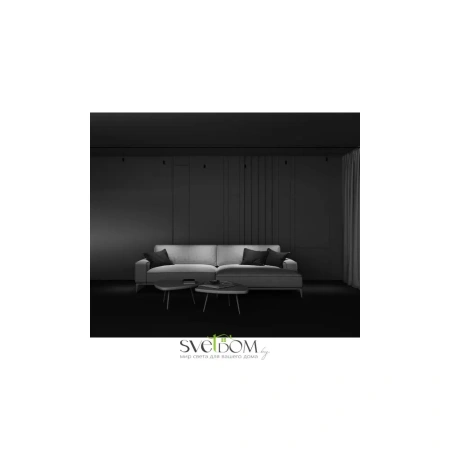 Светильники Maytoni C105PL-3W3-6K-B от Магазина Svetdom.by