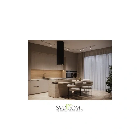 Трековый светильник Technical TR020-1-GU10-B Maytoni