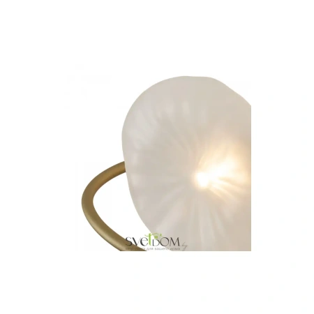 Настенный светильник (бра) Freya FR5567WL-01G Freya