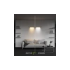 Светильники Maytoni C101CL-L500-12W3-6K-BS от Магазина Svetdom.by