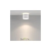 Потолочный светильник Technical C120CL-GX53-W Maytoni