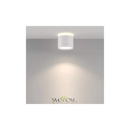 Потолочный светильник Technical C120CL-GX53-W Maytoni