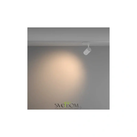 Трековый светильник Technical TR003-1-10W3K-W-W Maytoni