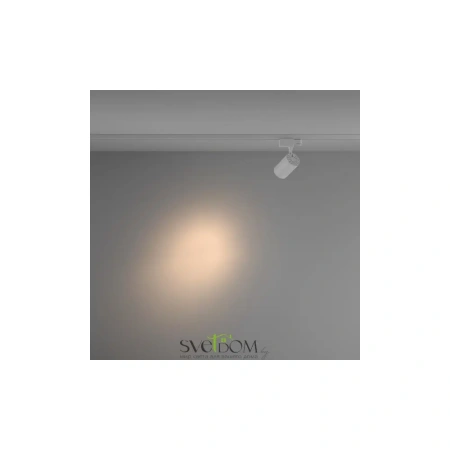 Трековый светильник TR029-3-10W3K-S-W Maytoni